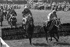 1981 Galway Races