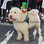 St Patricks Day Parade in City 17 March 2024