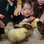  Paisti with chicks at Naionrachait Buaile Bheag 21 March 2024