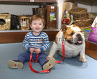 Darragh Flynn (20 months) Claddagh and pet Moli at the Petstop Galway Birthday Pawty in the Gateway Retail Park, Knocknacarra. 