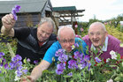 Alan Carr of the Brothers of Charity Day Centre (middle) with Jimmy Mohan and Clement Moylan, both of Knocknacarra, at the Ballybane Community Garden Open Day.