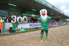 Eddie the Eagle celebrating John Muldoon's 300th game at the Connacht v Leinster Guinness PRO12 game at the Sportsground.