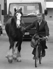 PJ Ruane cycling alongside his horse in the city.<br />
One of the photographs from an exhibition of of cyclists in Galway City and County from over the years on display in city centre shop front windows as part of Galway Bike Week.<br />
<br />
