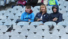 WATCH THE BIRDIE . . . early arrivals supporting the Galway hurlers at Croke Park last Sunday.