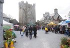 A general view of the Claregalway Castle Spring,  Garden Food and Craft Fair on Sunday. 
