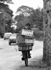 Seaini Baille, one of the first delivery boys with Ernie's Fruit & Veg Shop, cycling through Taylors Hill.