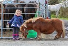 Three and a half years old Aoife Joyce from Cashel was at the Maam Cross Fair on Tuesday.