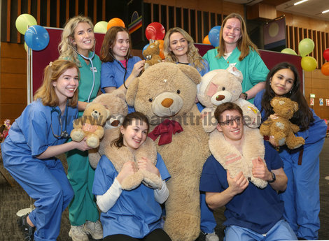 Teddy Bear Hosp...