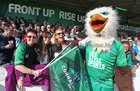 Connacht supporters with Eddie the Eagle at the Guinness PRO12 semi-final against Glasgow Warriors at the Sportsground.<br />

