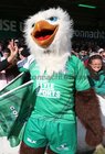 Connacht v Glasgow Warriors Guinness PRO12 semi-final at the Sportsground.<br />
Eddie the Eagle 