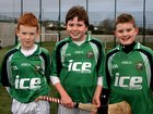Attending the Official opening of the Astro Turf Pitches at the Liam Mellows Hurling Club, Ballyloughane, (from left),<br />
Eoin Murray, Brian Hale and Jack Gavin.
