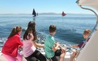 Young spectators watch the traditional sail boats taking part in Feile an Spideal last Sunday.
