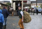 Joe Burke from Castlegar at the Connemara Pony Show in Clifden.  