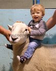 13 months old Dylan Walsh from Leam on the champion Cheviot ewe, owned by his father Thomas, during the sheep show at the annual Maam Cross Connemara Pony Show.