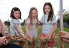 Ama LluqueKenny, Gracie O'Neilland Matilda Fennell at Cuan na Gaillimhe CNS-A Steiner Education School, An Cimín Mór, Cappagh Road, Knocknacarra, 10th anniversary celebration.