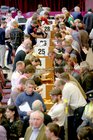 Sorting votes in the local and European elections and referendum at Leisureland 